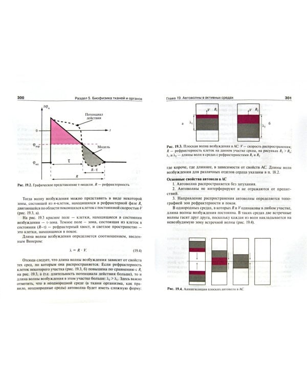 Физика и биофизика. Учебник