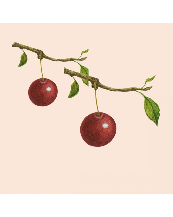 Ягоды.Счетный материал от 0 до 10 (репродукция)