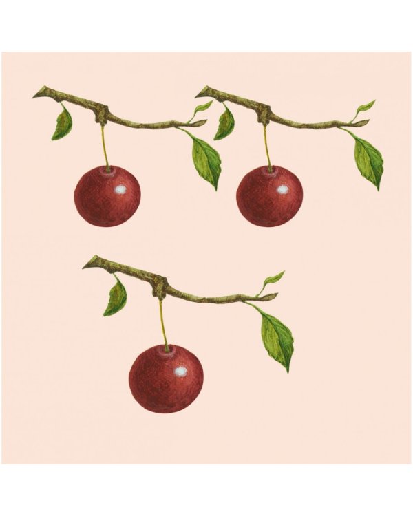 Ягоды.Счетный материал от 0 до 10 (репродукция)