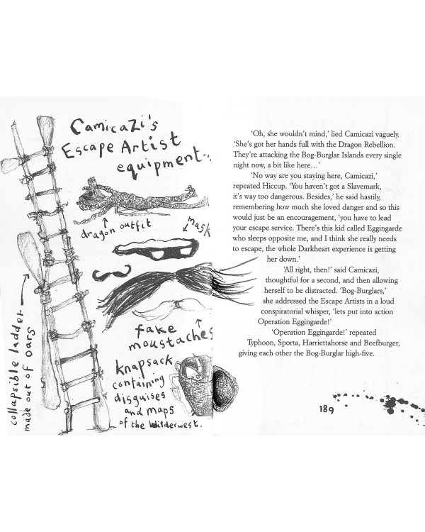 How to Seize a Dragon's Jewel