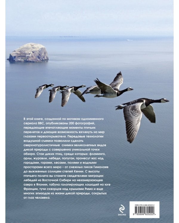 Мир с высоты птичьего полета