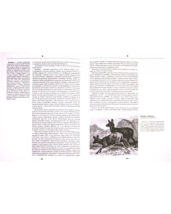 Русская охота