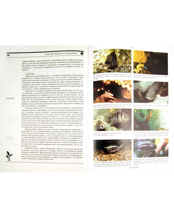 Пресноводный тропический аквариум. Профессиональные советы