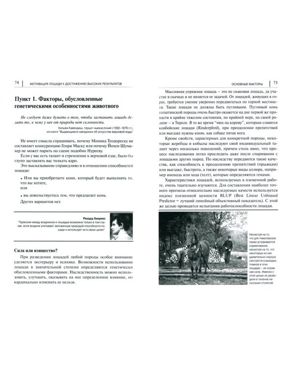 Мотивация лошади к достижению высоких результатов. 8 пунктов программы