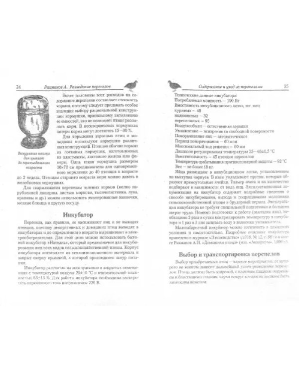 Разведение домашних и экзотических перепелов