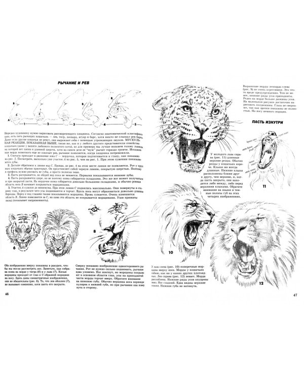 Как рисовать животных