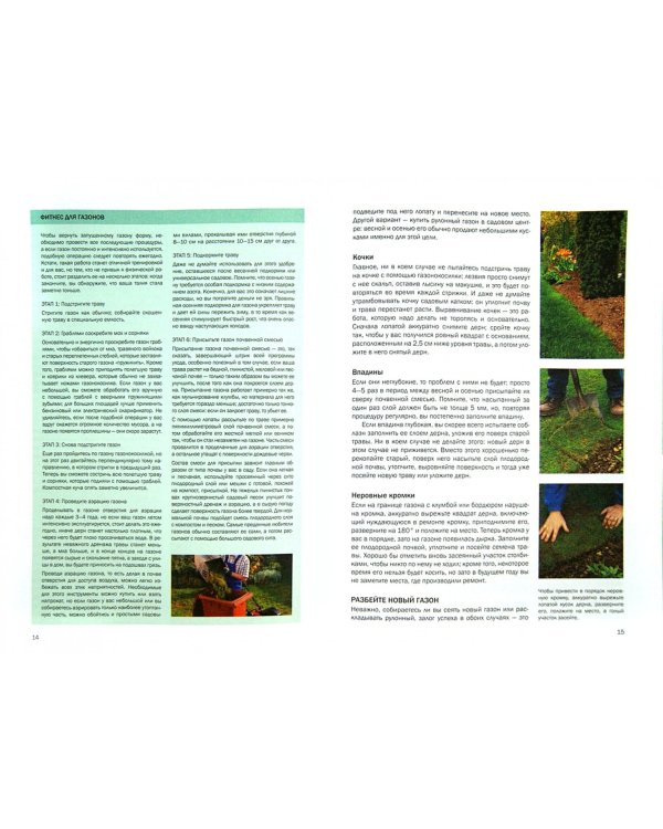 Год садовода. Осень