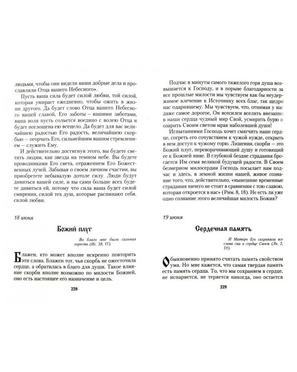 День за днем. Каждый день - подарок Божий. Дневник православного священника