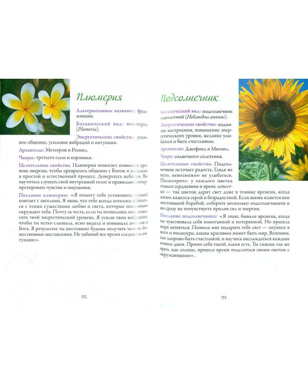 Цветочная терапия