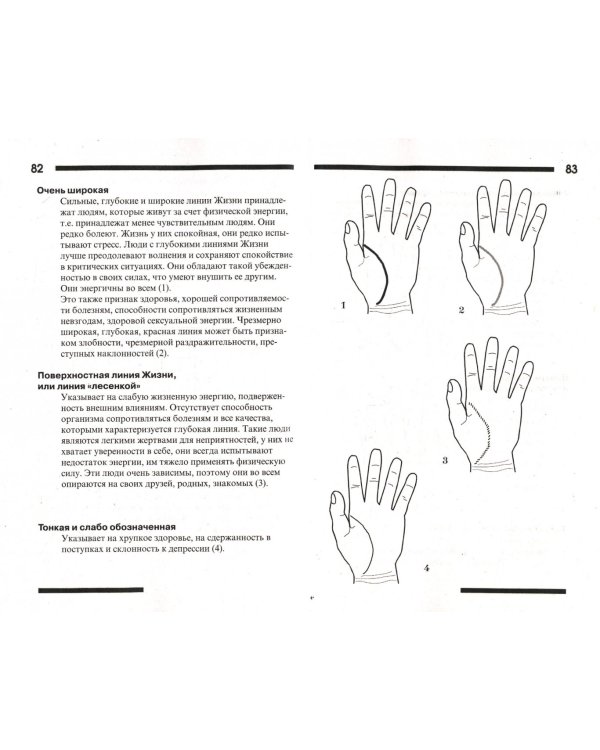 Хиромантия: основы