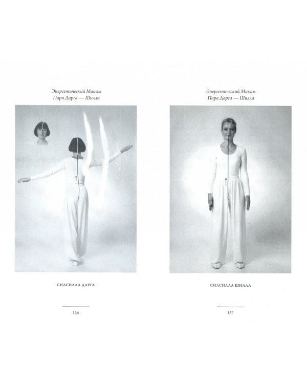 Семь точек исцеления. Теория и практика. Том 1