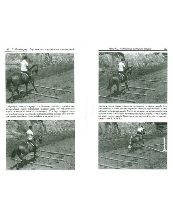 Верховая езда и преодоление препятствий. Как добиться победы