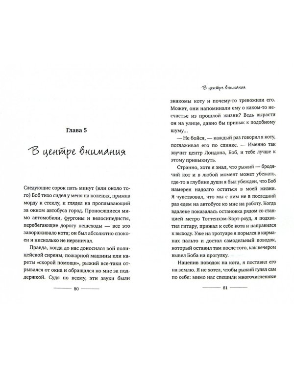 Уличный кот по имени Боб. Как человек и кот обрели надежду на улицах Лондона