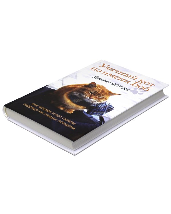 Уличный кот по имени Боб. Как человек и кот обрели надежду на улицах Лондона