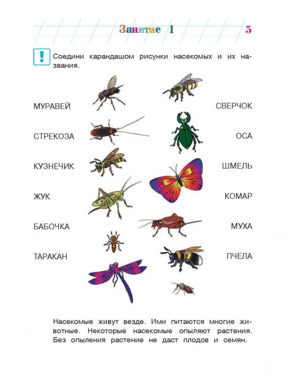 Изучаю мир вокруг. Для детей 5-6 лет. В 2-х частях. Часть 2