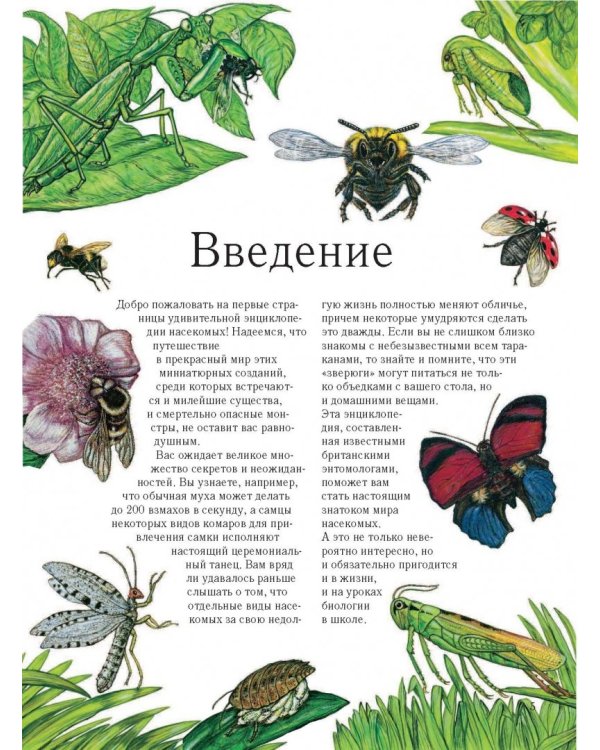 Насекомые. Полная энциклопедия