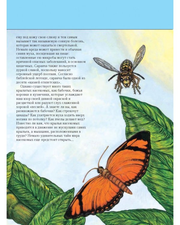 Насекомые. Полная энциклопедия