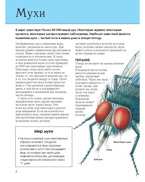 Насекомые. Полная энциклопедия