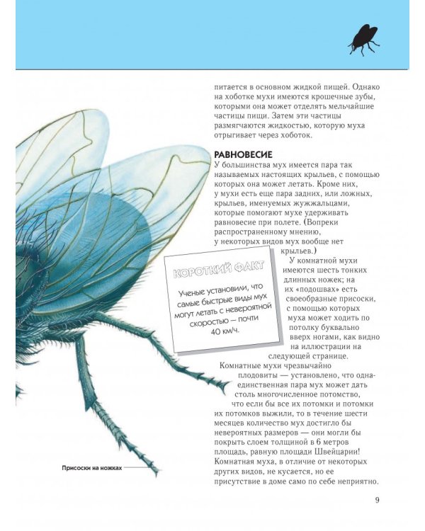 Насекомые. Полная энциклопедия