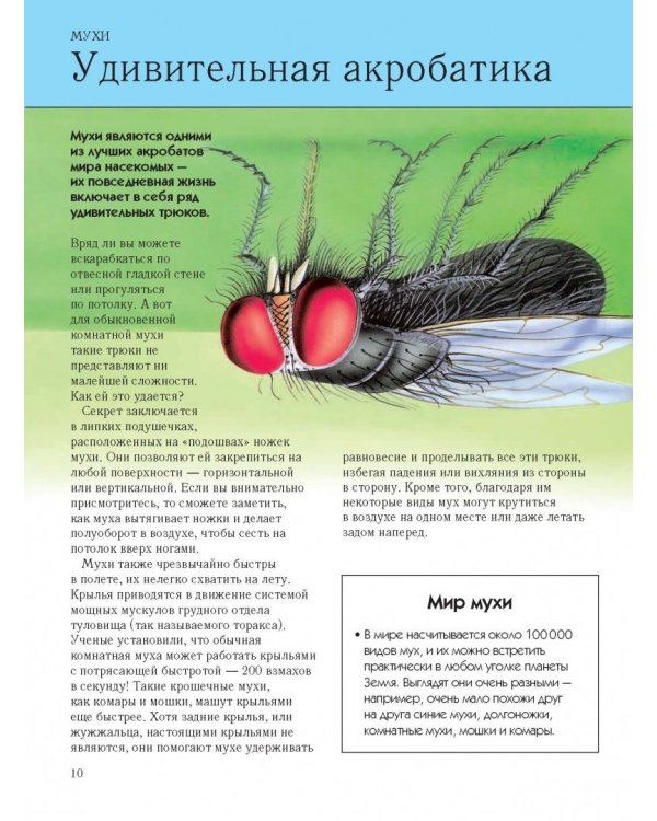 Насекомые. Полная энциклопедия