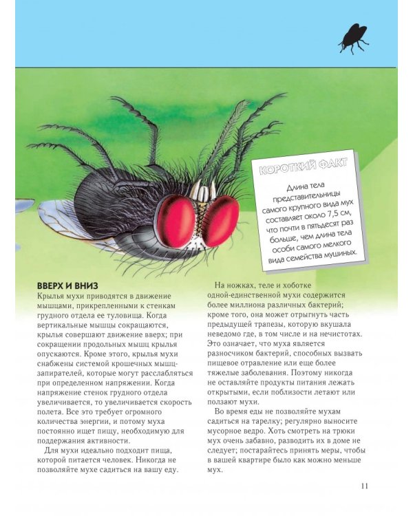 Насекомые. Полная энциклопедия