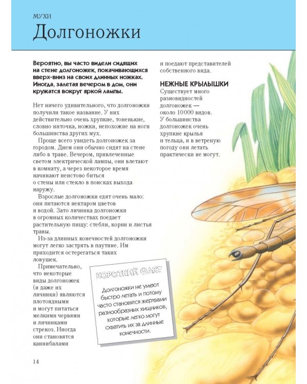 Насекомые. Полная энциклопедия