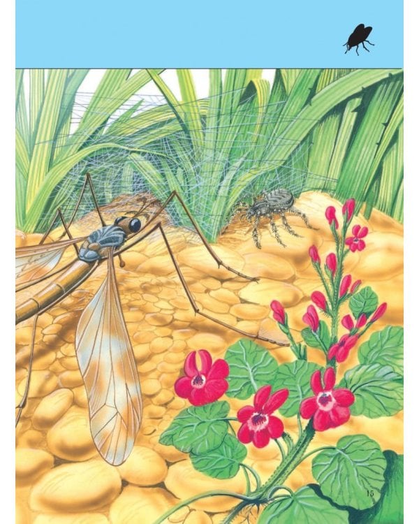 Насекомые. Полная энциклопедия