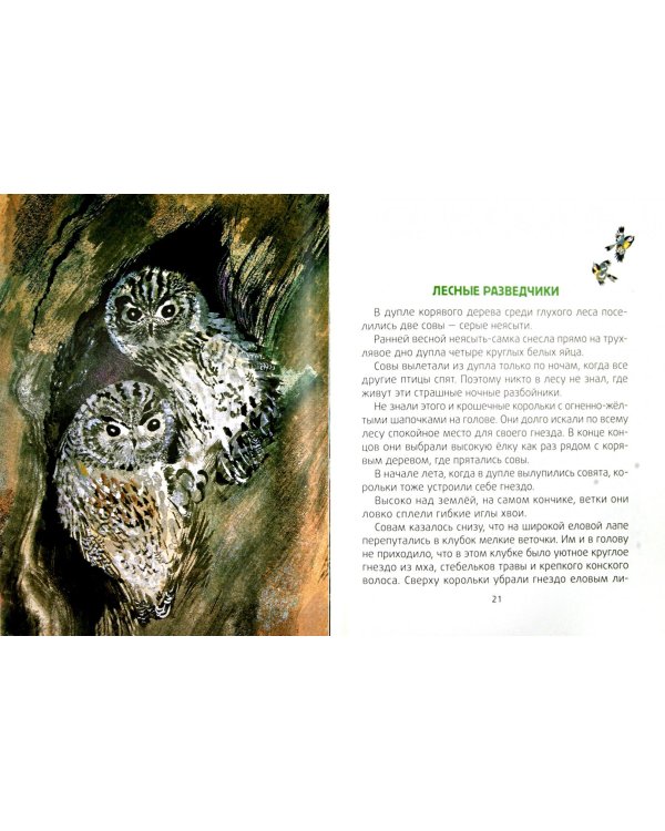 Лесные разведчики