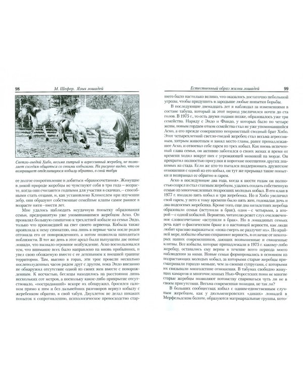 Язык лошадей. Образ жизни, поведение, формы общения