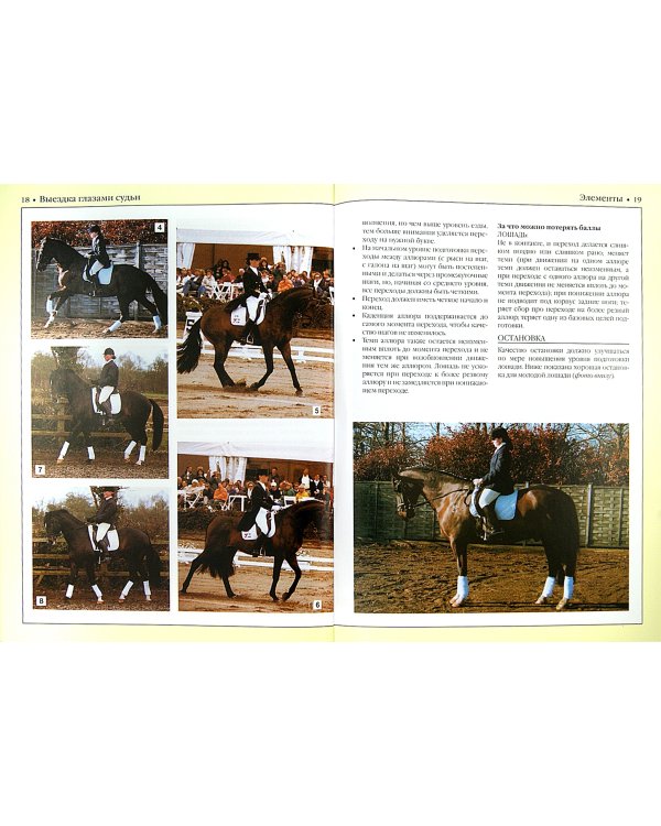 Выездка глазами судьи