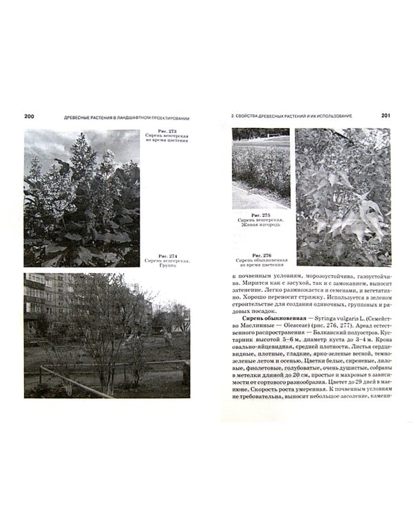 Древесные растения в ландшафтном проектировании и инженерном благоустройстве территории