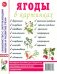 Ягоды в картинках. Наглядное пособие для педагогов, логопедов, воспитателей и родителей