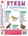 Птицы в картинках. Наглядное пособие для педагогов, логопедов, воспитателей и родителей. Выпуск 1