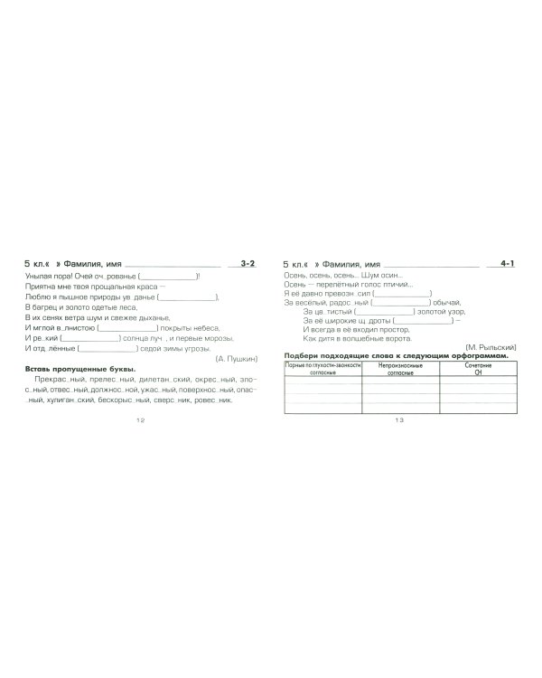 Русский язык. 5 класс. Сборник самостоятельных работ "Вставь букву!". ФГОС