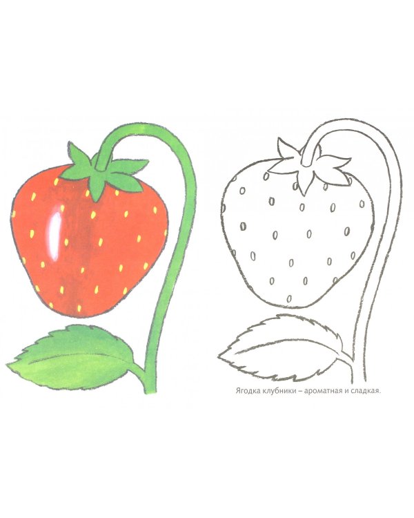 Раскраска "Посмотри и раскрась-для самых маленьких. Пчелка", А5, 8 листов