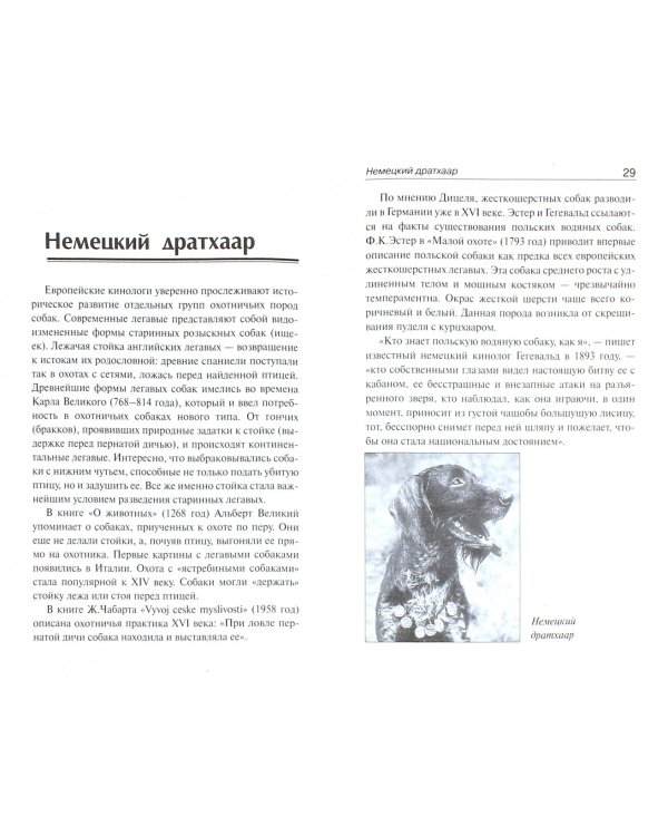 Дратхаар. История. Стандарт. Испытания. Разведение