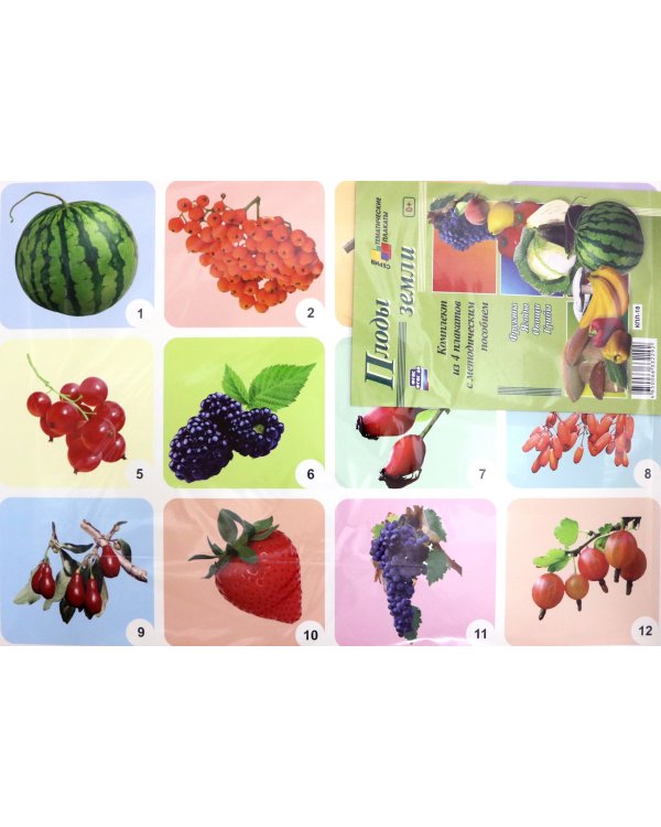 Комплект плакатов "Плоды земли" (4 плаката: "Фрукты", "Ягоды", "Овощи", "Грибы") ФГОС ДО