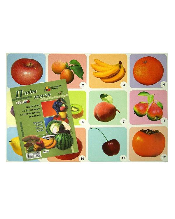 Комплект плакатов "Плоды земли" (4 плаката: "Фрукты", "Ягоды", "Овощи", "Грибы") ФГОС ДО