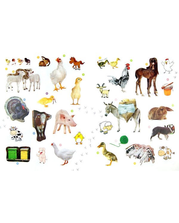 Домашние животные. Энциклопедия животных с наклейками