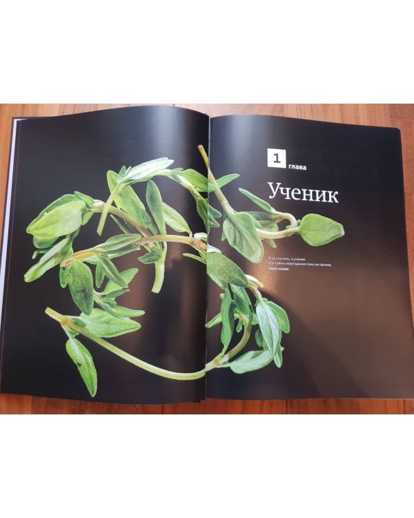 Казан. Кулинарный самоучитель