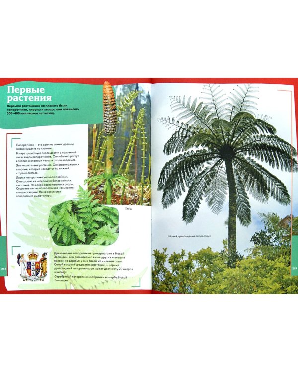 Про все на свете. Большая энциклопедия для любознательных детей