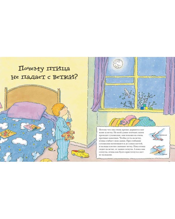 Почему? Самые интересные детские вопросы о природе, науке и мире вокруг нас