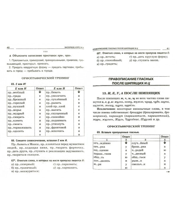 Русский язык. Экспресс-курсы по орфографии