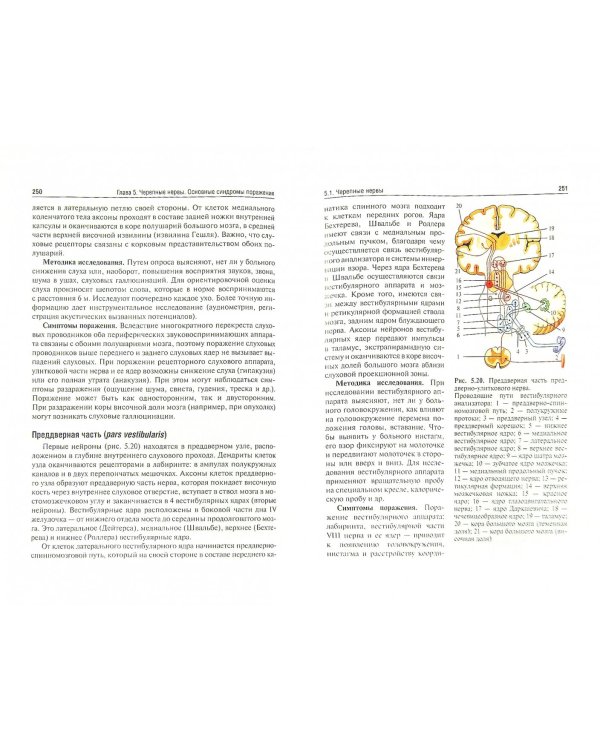 Неврология и нейрохирургия. Том 1: Неврология. Учебник