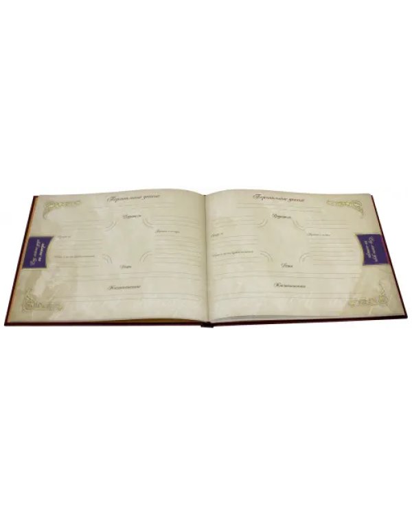 Родословная книга нашей семьи