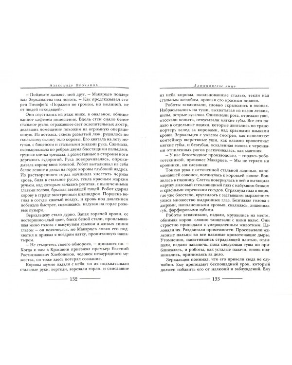 Алюминиевое лицо. Замковый камень