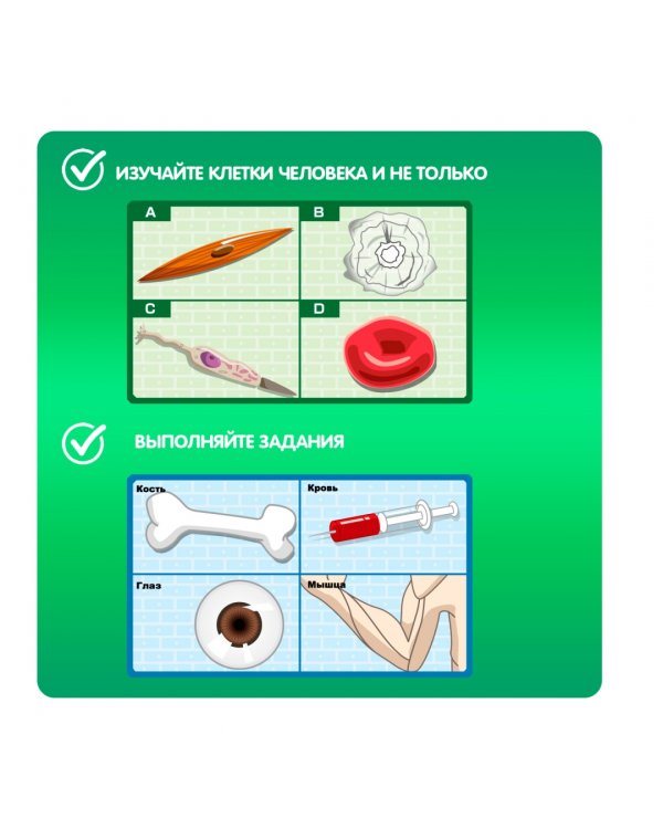 Японские опыты Науки с Буки. Клетки