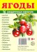 Раздаточные карточки "Ягоды" (16 карточек)
