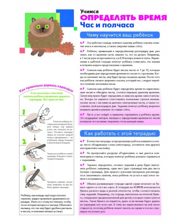 Учимся определять время. Час и полчаса