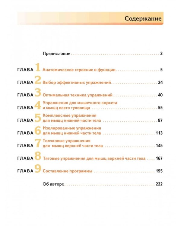 Мышечная механика